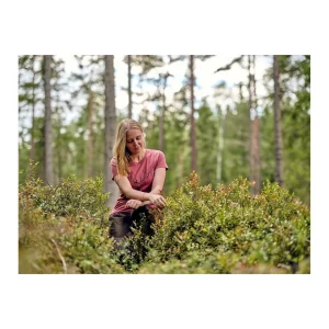 Damskie Pinewood Koszulki, Bluzki Damskie | Koszulki Myśliwskie | DAMSKI T-SHIRT ® RED DEER 3038