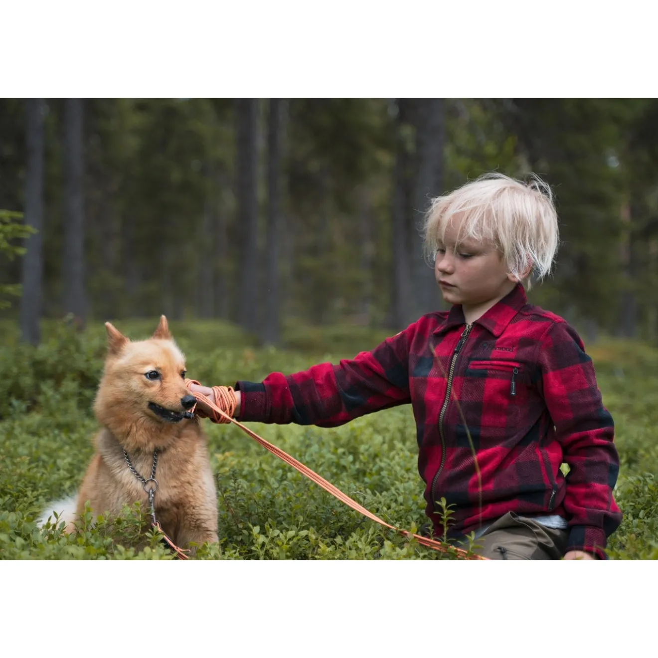 koszula_dziecica_pinewood_2.webp Dzieci Pinewood Koszule Dziecięce | KOSZULA DZIECIĘCA ® CANADA 6069