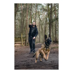 Pinewood Kurtki, Płaszcze | Kurtka męska ® DOG SPORTS 2.0 5183 (407)