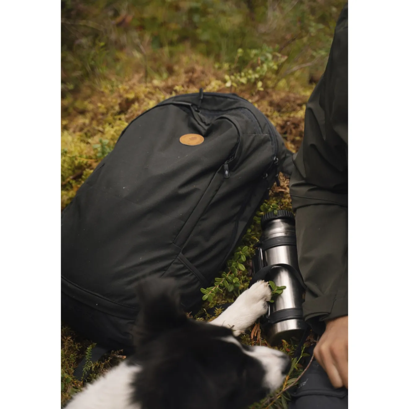 plecak__litry_pinewood_da_3-2.webp Pinewood Plecaki | Torby, Worki , Plecaki Myśliwskie | Plecak 22 litry ® DAY PACK 1913 Black