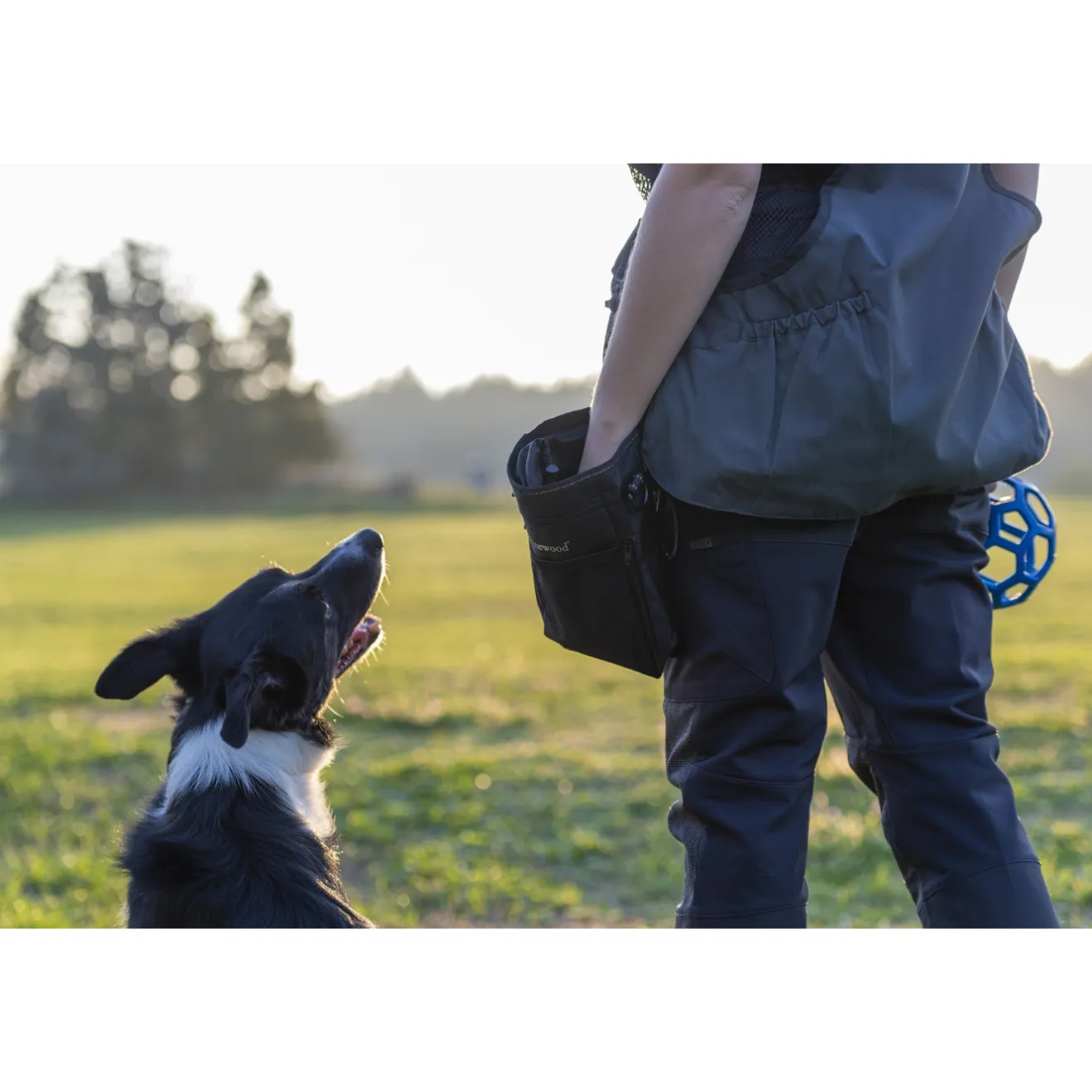 saszetkatorba_pinewood_do_1.webp Pinewood Torby, Worki | Torby, Plecaki, Worki | Saszetka/Torba ® DOG-SPORTS BAG SMALL 1106