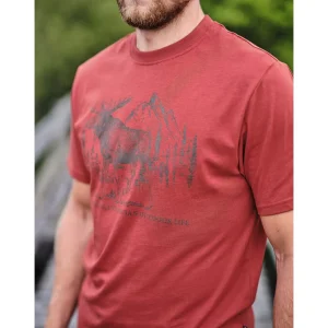 Pinewood Koszulki | Koszulki Myśliwskie | T-SHIRT ® MOOSE 5571